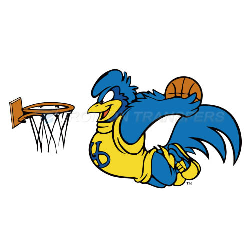 Delaware Blue Hens Iron-on Stickers (Heat Transfers)NO.4239
